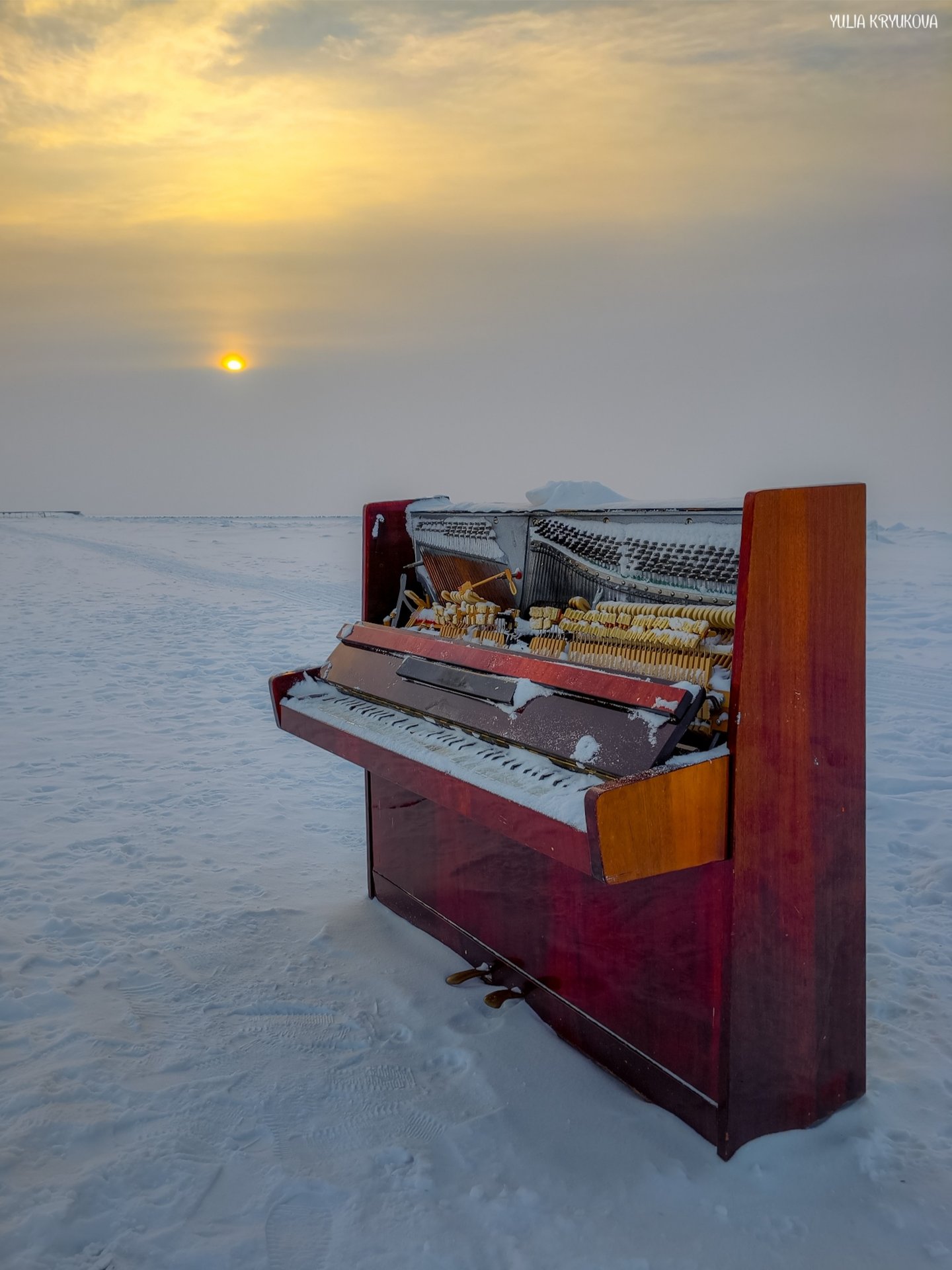 Февральские фотозарисовки. Классные кадры сделала Yulia Kryukova