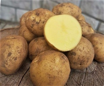 Как сохранить картофель до весны: полезные советы и хитрости