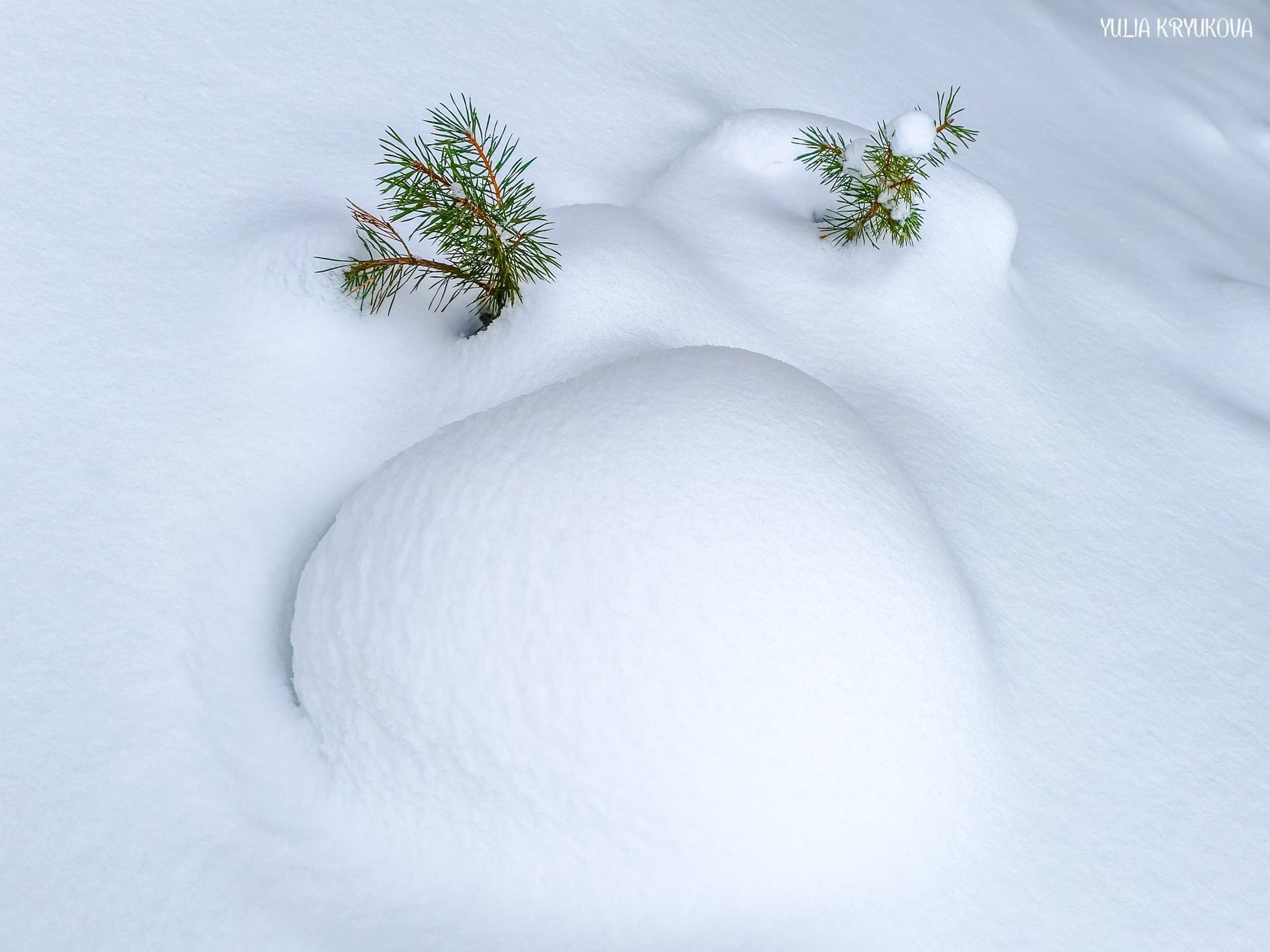 Февральские фотозарисовки. Классные кадры сделала Yulia Kryukova Февральские фотозарисовки. Классные кадры сделала Yulia Kryukova