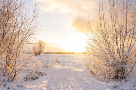 ������ ����, ������!. �������� ���� ��������: ������� ������� � ������������