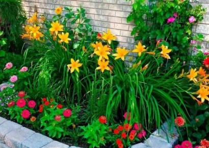 ������ ����� ��� ������� � �������� ����: ������ �� ����� � ���������