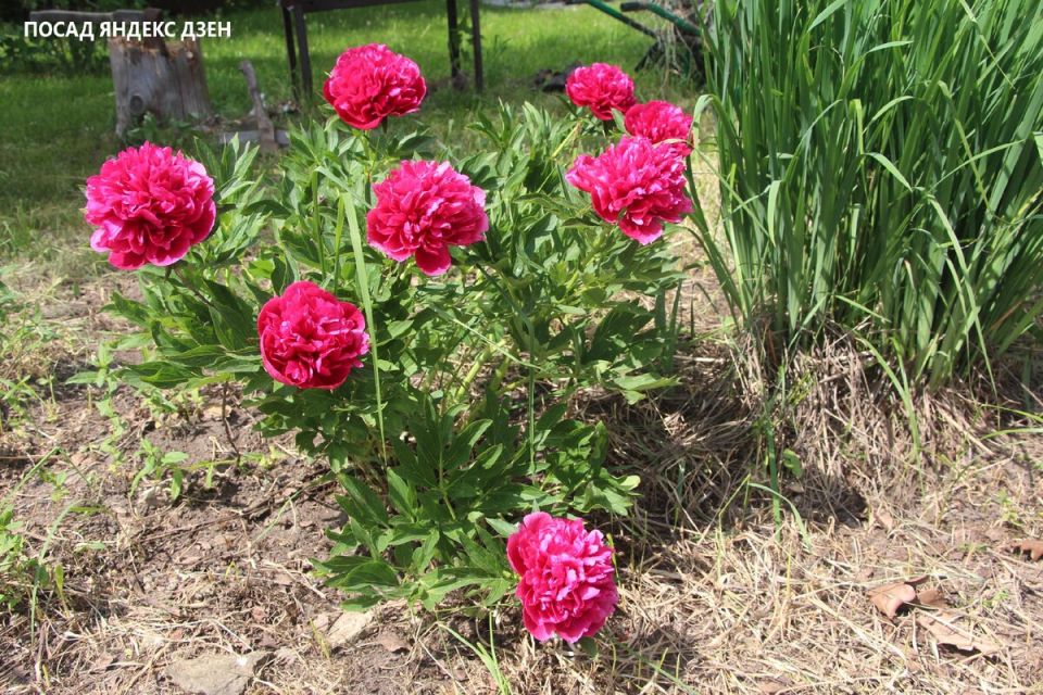 ����� � �����: ������� �������� ������� ������