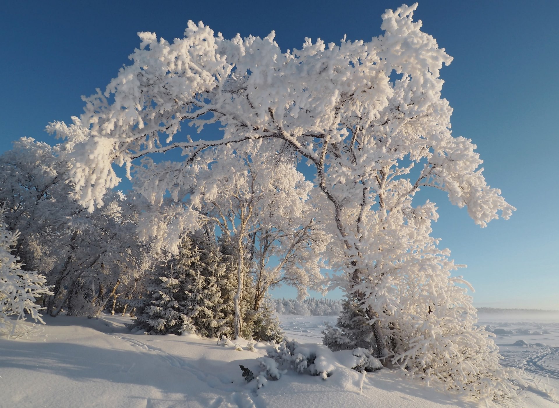 Зима на Соловках — это потрясающее сочетание суровости природы и её завораживающей красоты Зима на Соловках — это потрясающее сочетание суровости природы и её завораживающей красоты