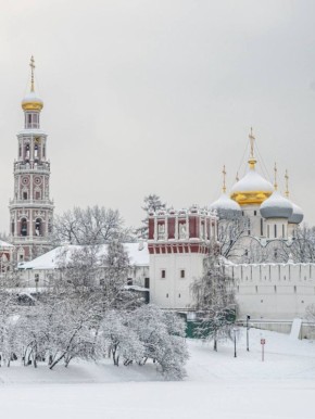 Перед вами Новодевичий монастырь в Москве