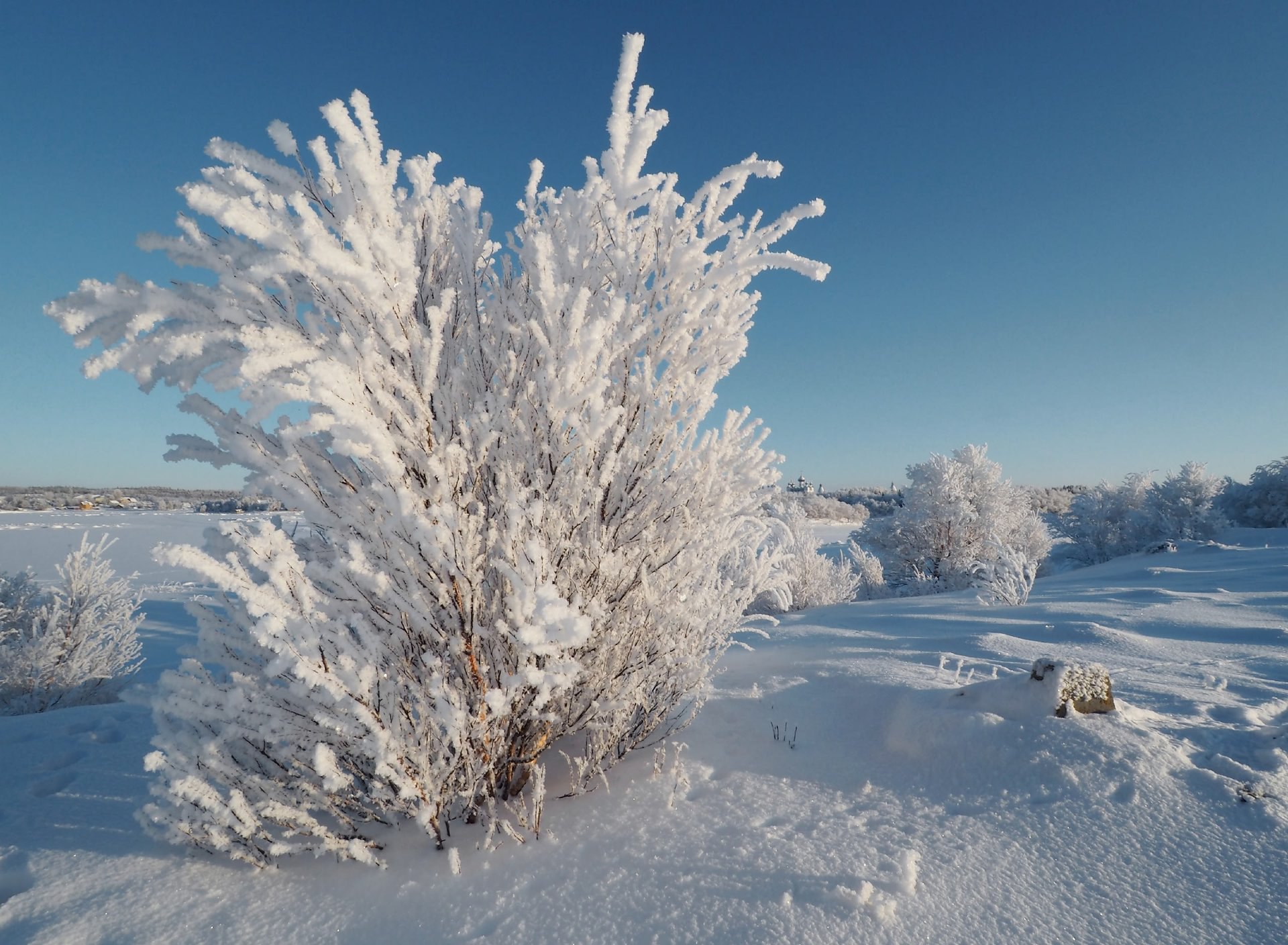 Зима на Соловках — это потрясающее сочетание суровости природы и её завораживающей красоты Зима на Соловках — это потрясающее сочетание суровости природы и её завораживающей красоты
