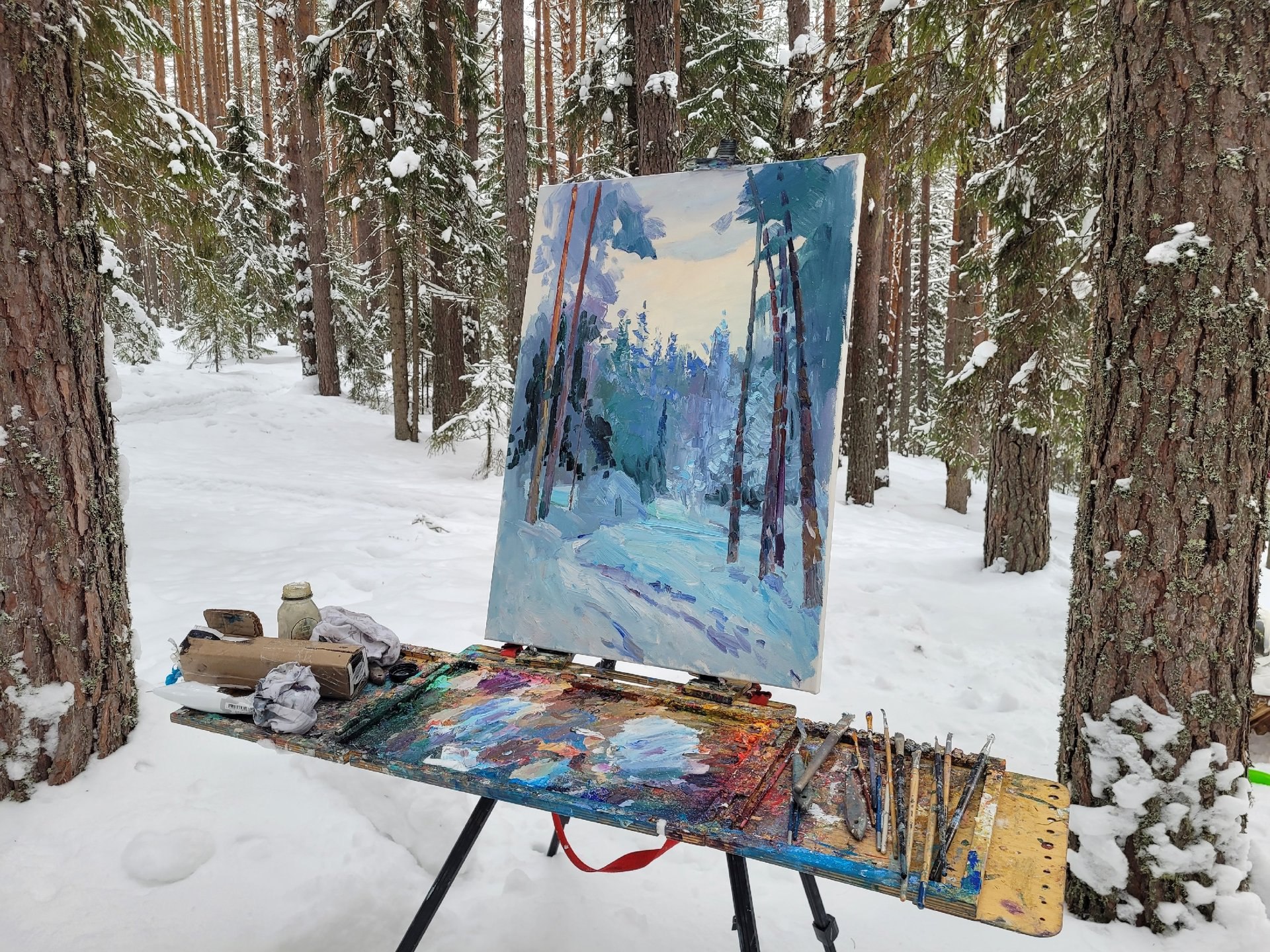 По следам Александра Борисова По следам Александра Борисова