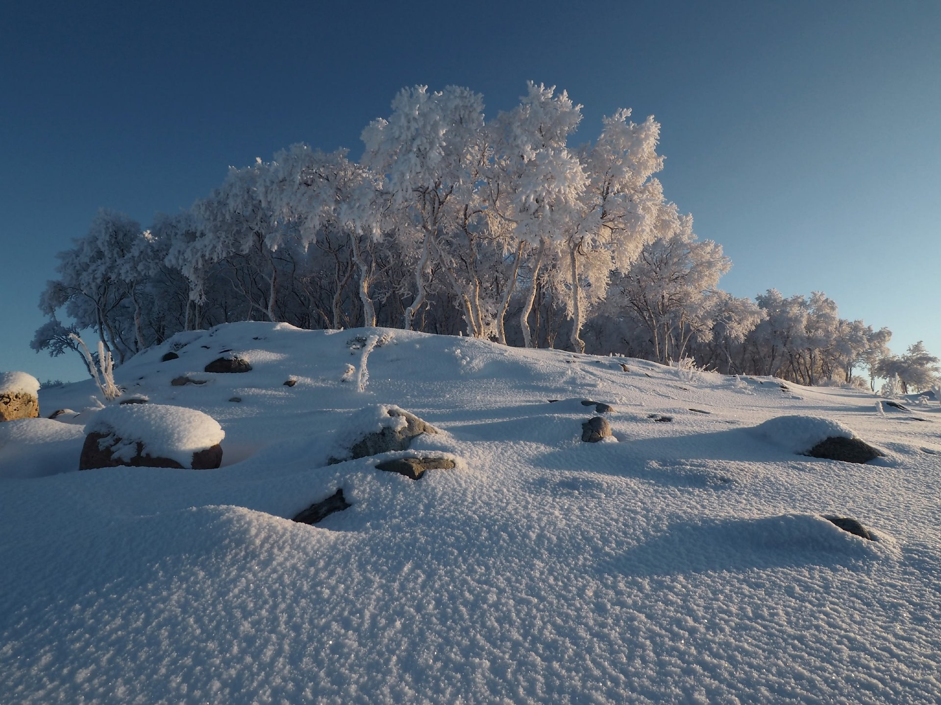 Зима на Соловках — это потрясающее сочетание суровости природы и её завораживающей красоты Зима на Соловках — это потрясающее сочетание суровости природы и её завораживающей красоты