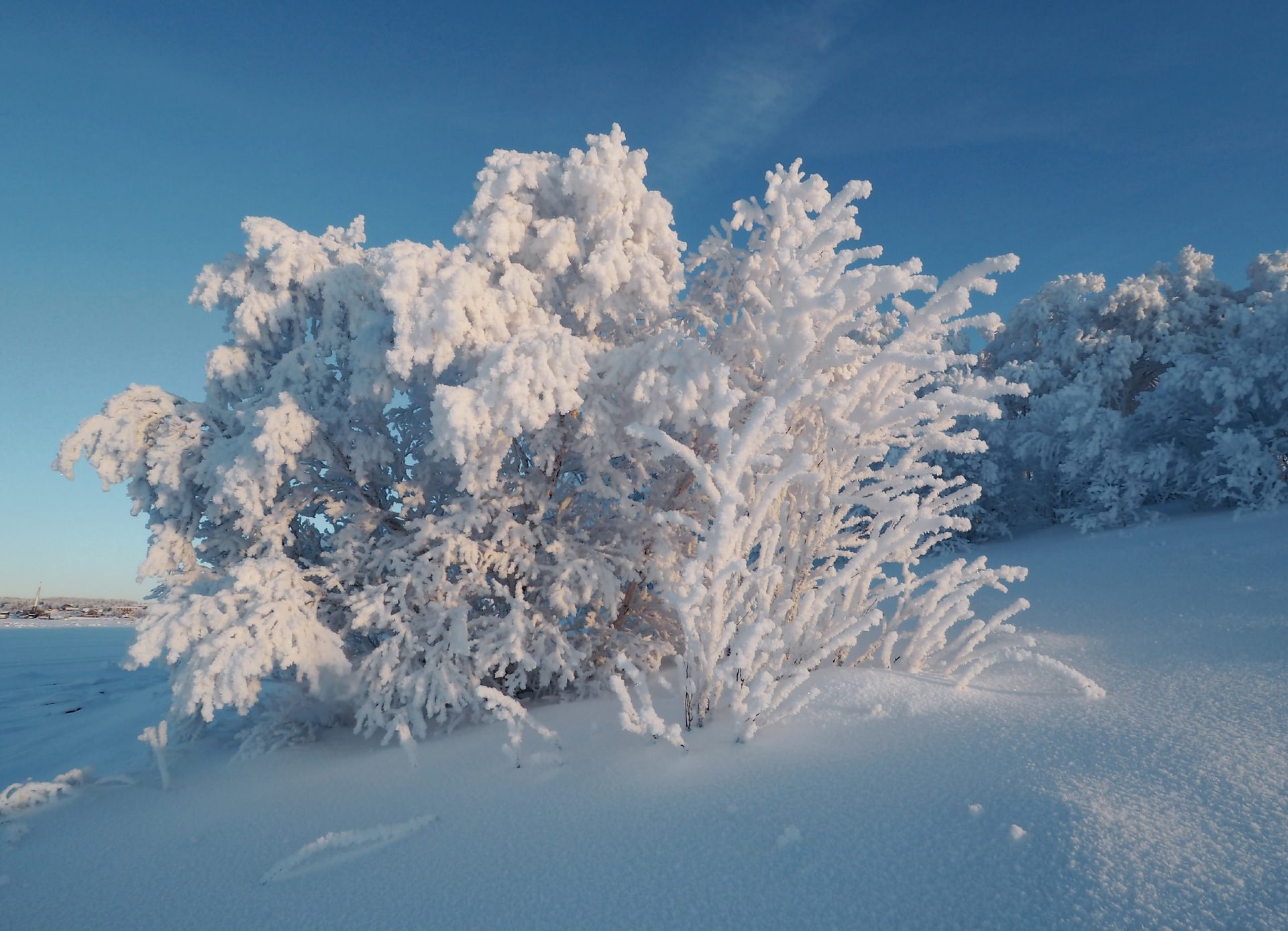 Зима на Соловках — это потрясающее сочетание суровости природы и её завораживающей красоты Зима на Соловках — это потрясающее сочетание суровости природы и её завораживающей красоты