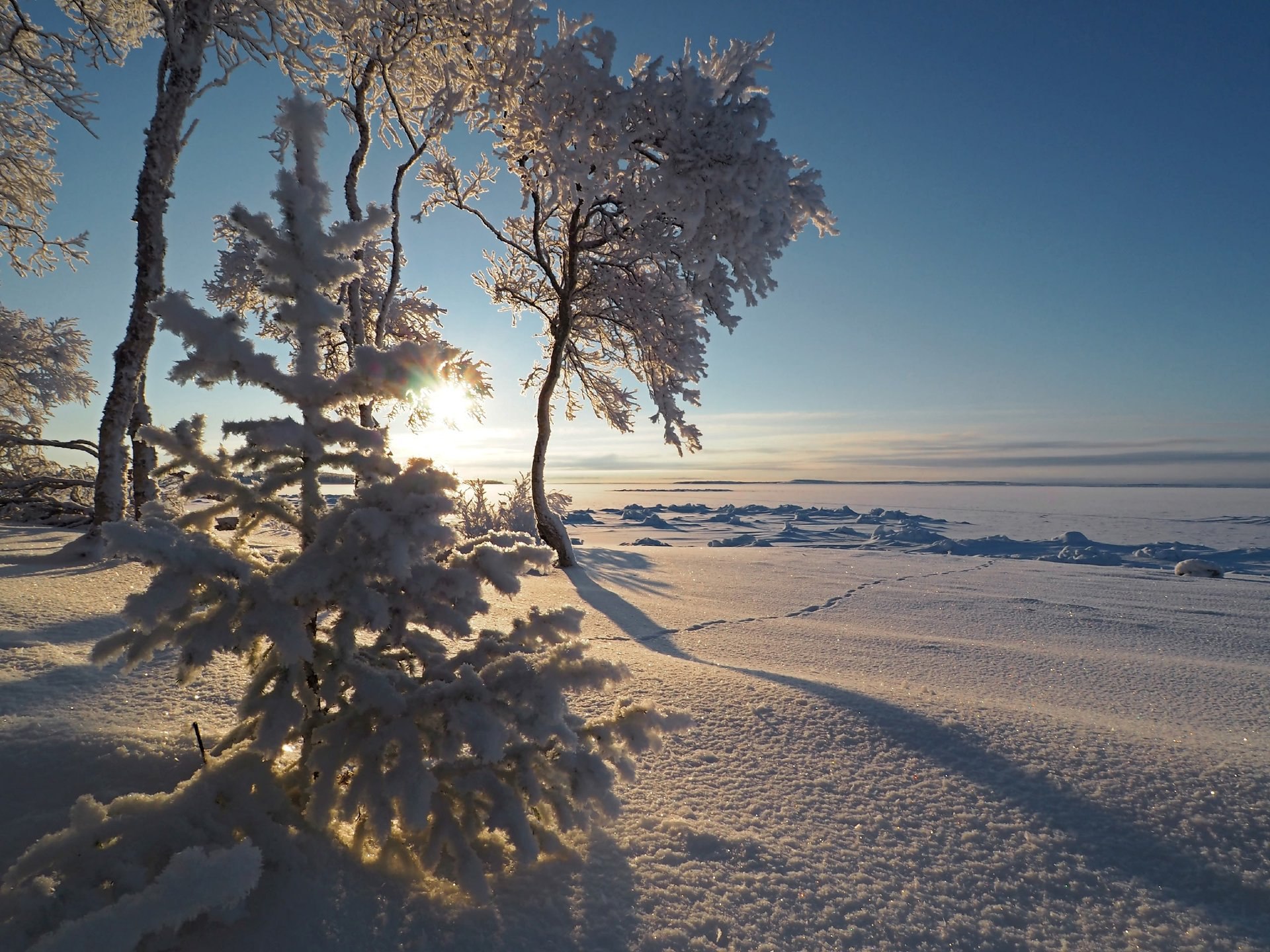 Зима на Соловках — это потрясающее сочетание суровости природы и её завораживающей красоты Зима на Соловках — это потрясающее сочетание суровости природы и её завораживающей красоты