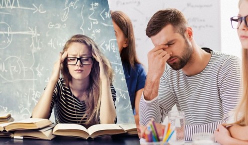 ��� ������� ������ �� ���� ������������: ������ ����������