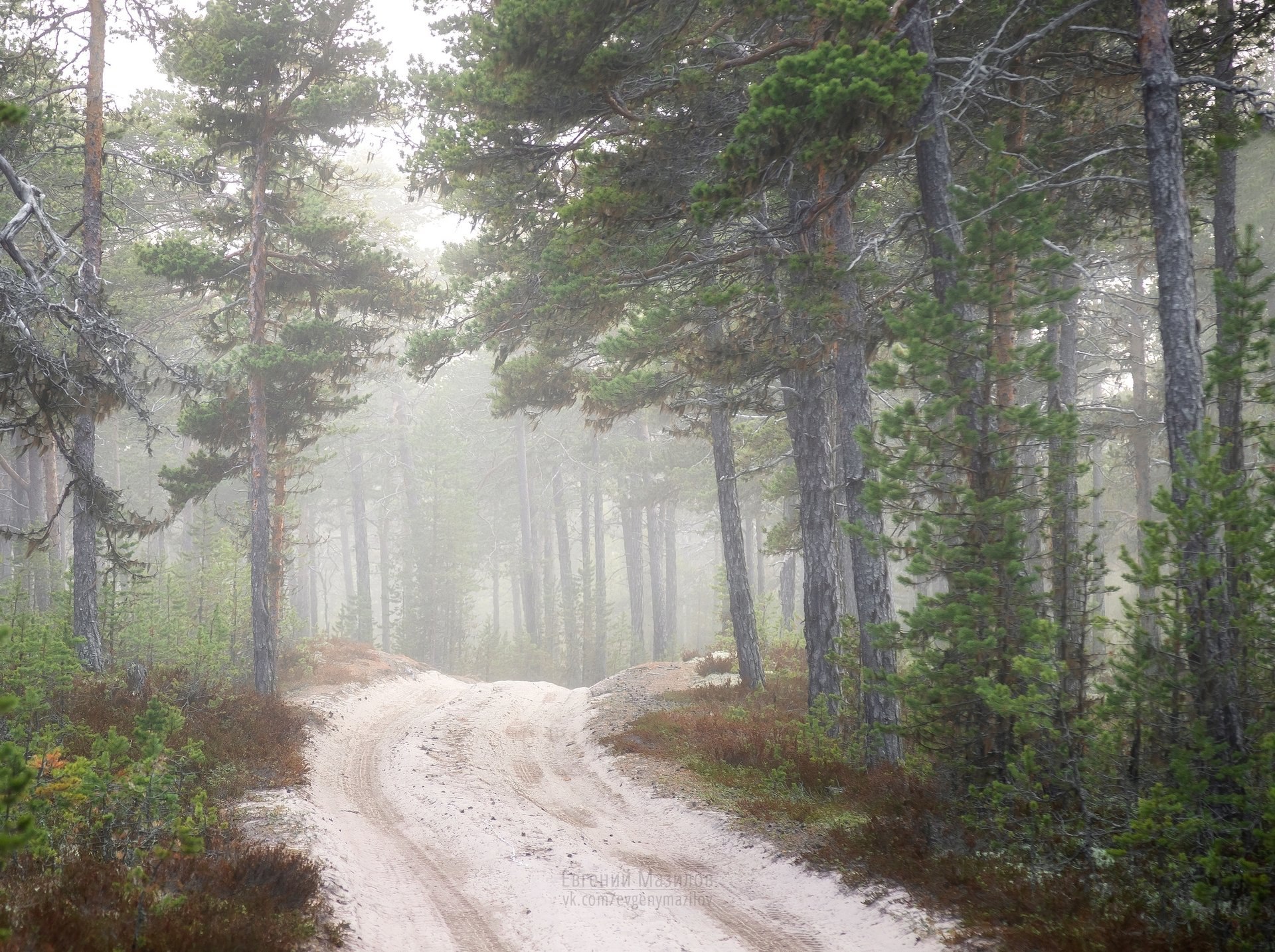 Национальный парк «Онежское Поморье» празднует 13-летие Национальный парк «Онежское Поморье» празднует 13-летие
