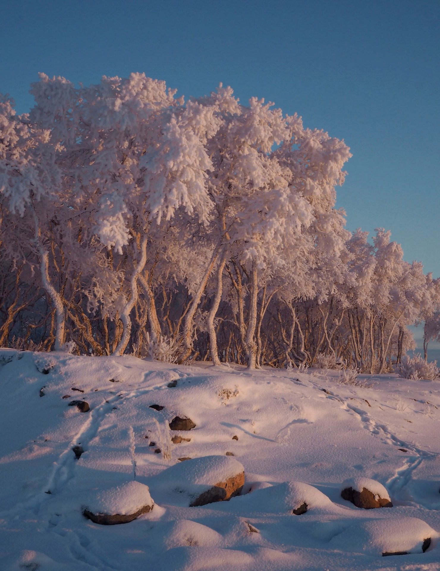 Зима на Соловках — это потрясающее сочетание суровости природы и её завораживающей красоты Зима на Соловках — это потрясающее сочетание суровости природы и её завораживающей красоты