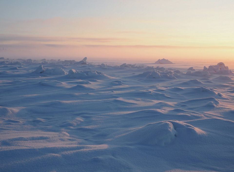 ���� �� �������� � ��� ����������� ��������� ��������� ������� � � �������������� �������