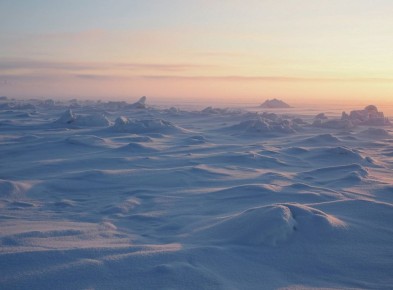 ���� �� �������� � ��� ����������� ��������� ��������� ������� � � �������������� �������