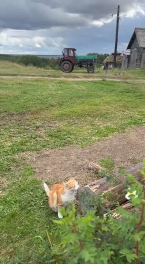 �������� ������. ��, ���� ��� �� ������, � ���� ��� ����� ������, �� �� ��� ������� �� ������� �������� �������