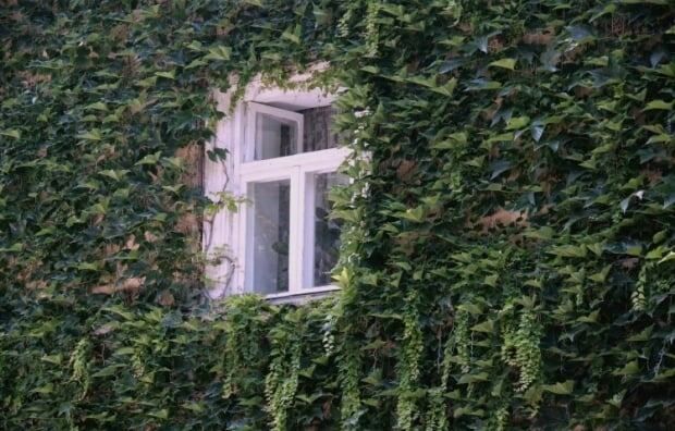 ������� ��������: ��� �� ����� ������ ����� ������ ����