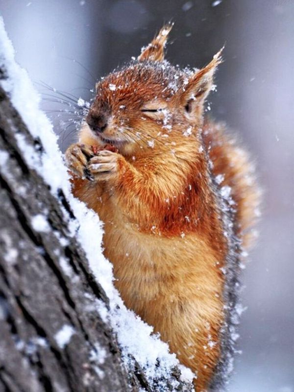 �� ���������� ��������� ���� ���� 27 ������� � ������������ �������������� �������� � �������� ���-���������� ����� �������� 15-17 �/�