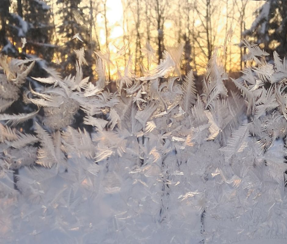 ����� � ����������� ��������