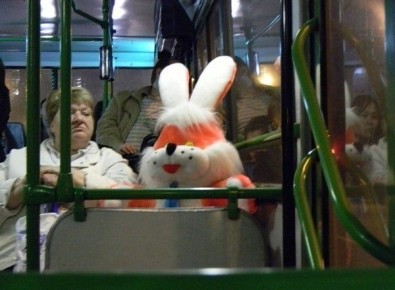 Кто может рассчитывать на льготы на проезд в общественном транспорте?