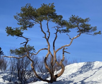 ���� � ����� ����. ��� ���������� ����� ������ � �������� � ����� ������ ��� �������������, ����������������� � ������ �������