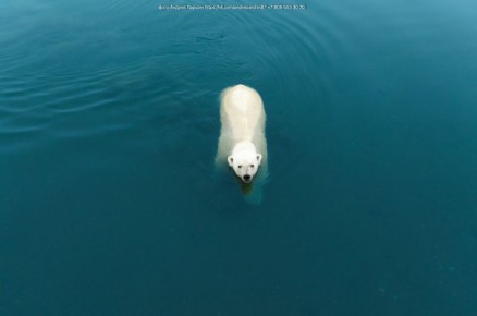 �������� 27 ������� ���������� ������������� ���� ��������� �������