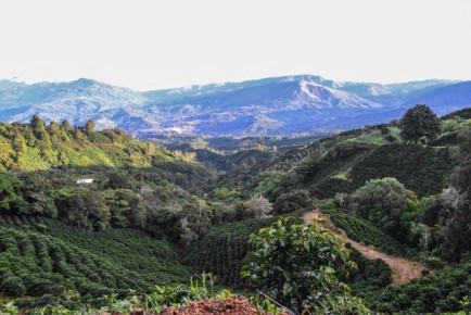 ������� � ����: ������ ��� ����� ����� �������� ��� ��������� �������