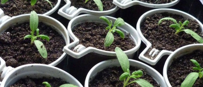 ��� �������� ������� �� �������� � ������� ������� � ����������� �������