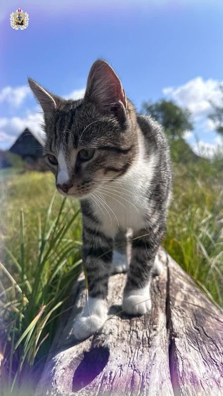 � �� �����, ��� 1 ����� � �� ������ ������ ���� �����, �� ��� � ������������� ���� ����� � ������? �������� �������� �� ���������� ����������� ����� ����� � �������� ������� ���� � ���