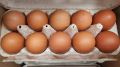 Почему стоит задуматься перед покупкой яиц категории СО
