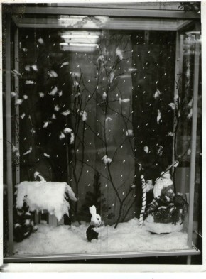 ��������� ������������ � ����� ����