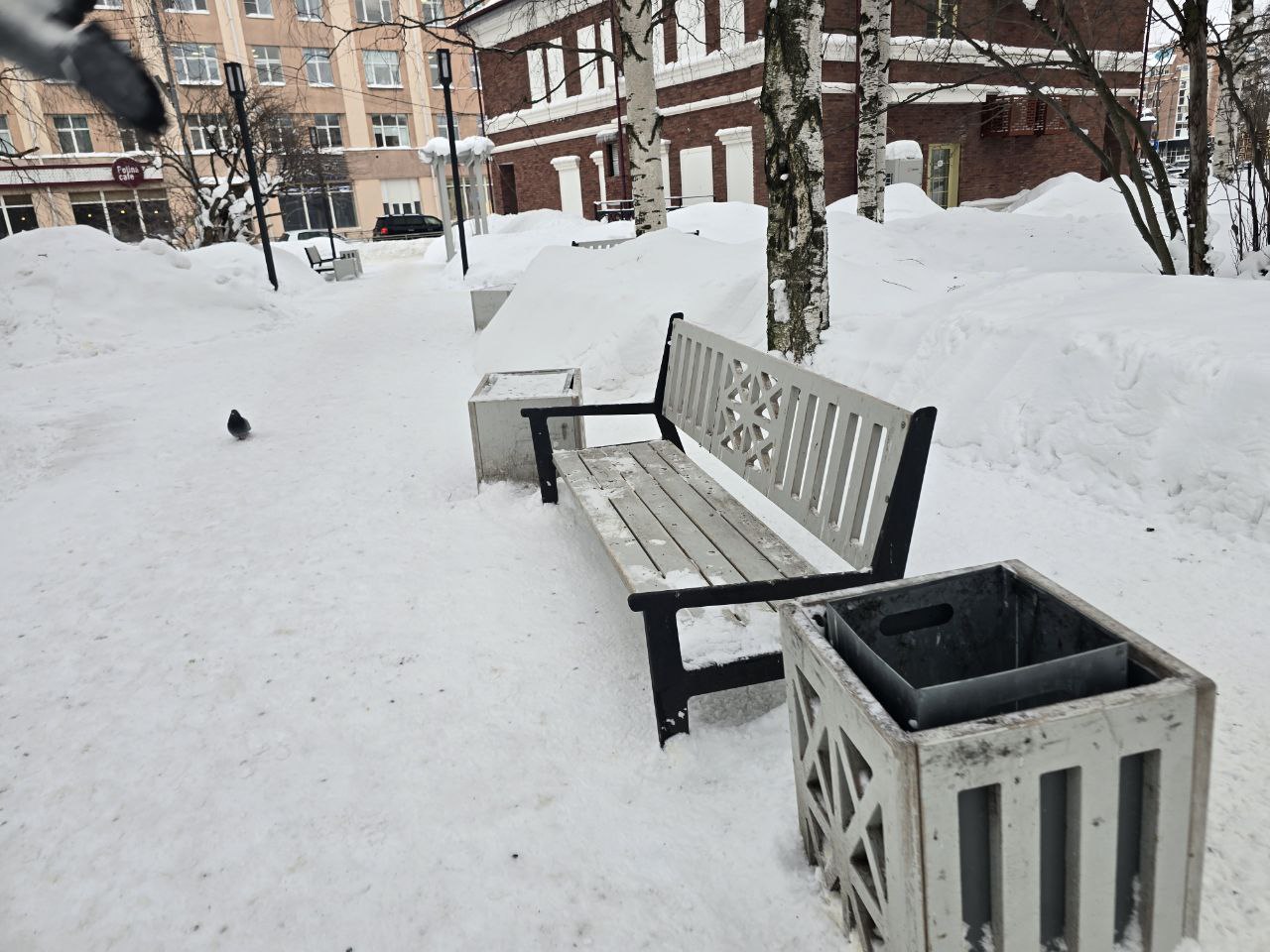 Голуби оккупировали центр Архангельска: скамейки в птичьем "декоре" Голуби оккупировали центр Архангельска: скамейки в птичьем "декоре"