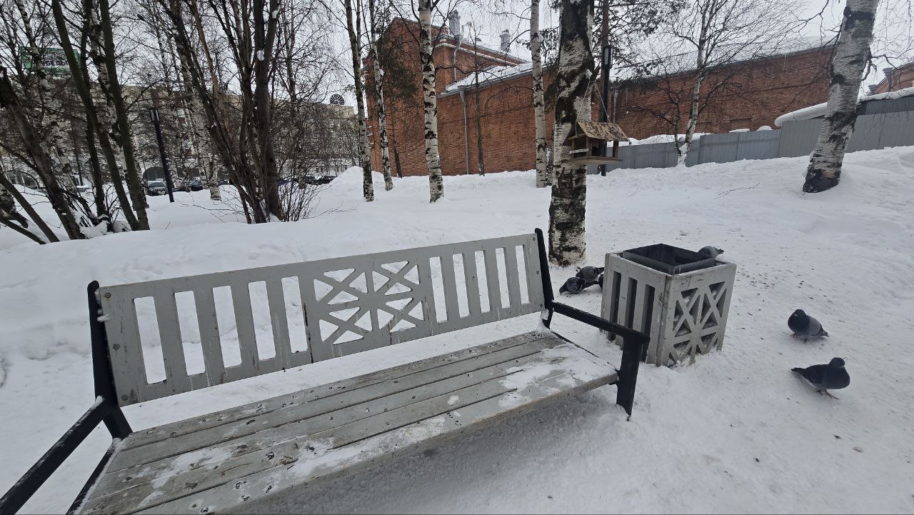 Голуби оккупировали центр Архангельска: скамейки в птичьем "декоре"