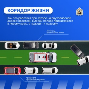 Иногда всего несколько минут способны решить судьбу человека, и каждый из нас может помочь выиграть это время