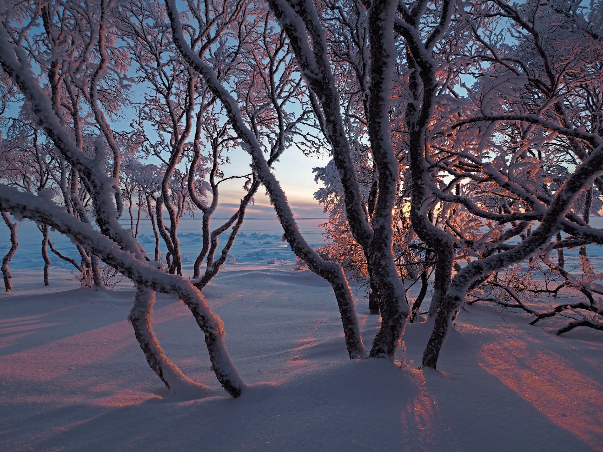 Соловецкие зимние закаты. Фотографии Евгения Яковлева Соловецкие зимние закаты. Фотографии Евгения Яковлева