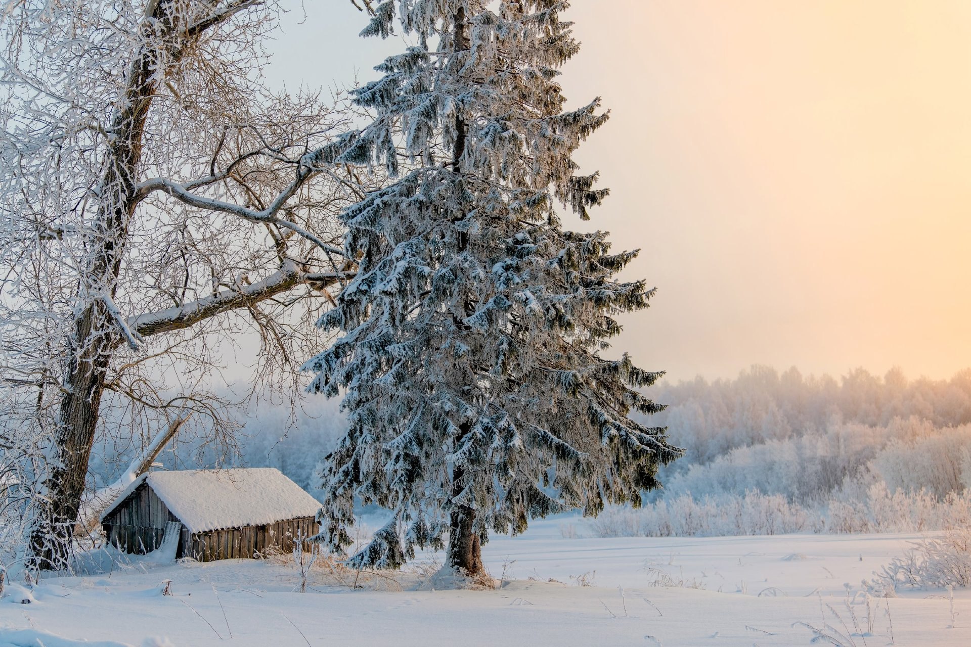 В каждом зимнем дне есть своя магия В каждом зимнем дне есть своя магия