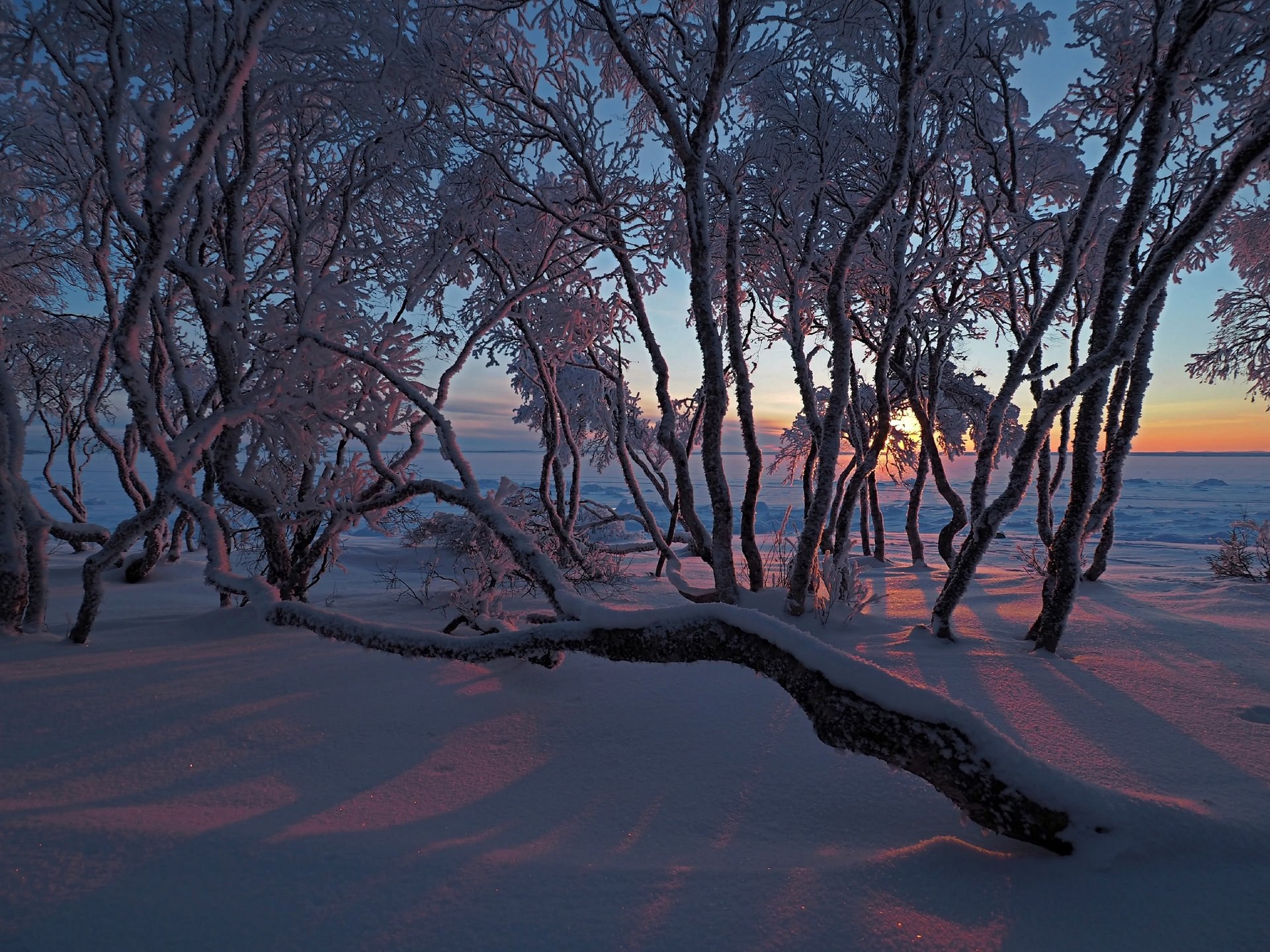 Соловецкие зимние закаты. Фотографии Евгения Яковлева Соловецкие зимние закаты. Фотографии Евгения Яковлева