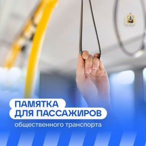 Общественный транспорт — это удобный и экологичный способ передвижения по городу и между населенными пунктами