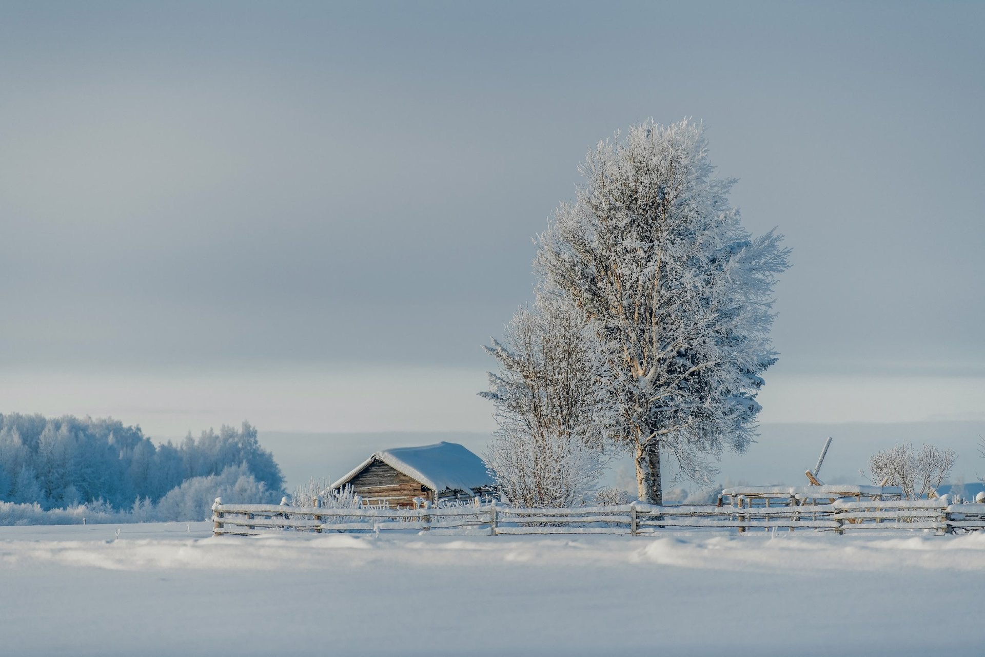 В каждом зимнем дне есть своя магия В каждом зимнем дне есть своя магия