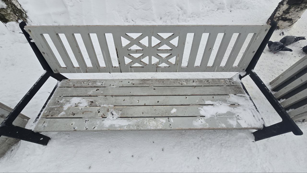 Голуби оккупировали центр Архангельска: скамейки в птичьем "декоре" Голуби оккупировали центр Архангельска: скамейки в птичьем "декоре"