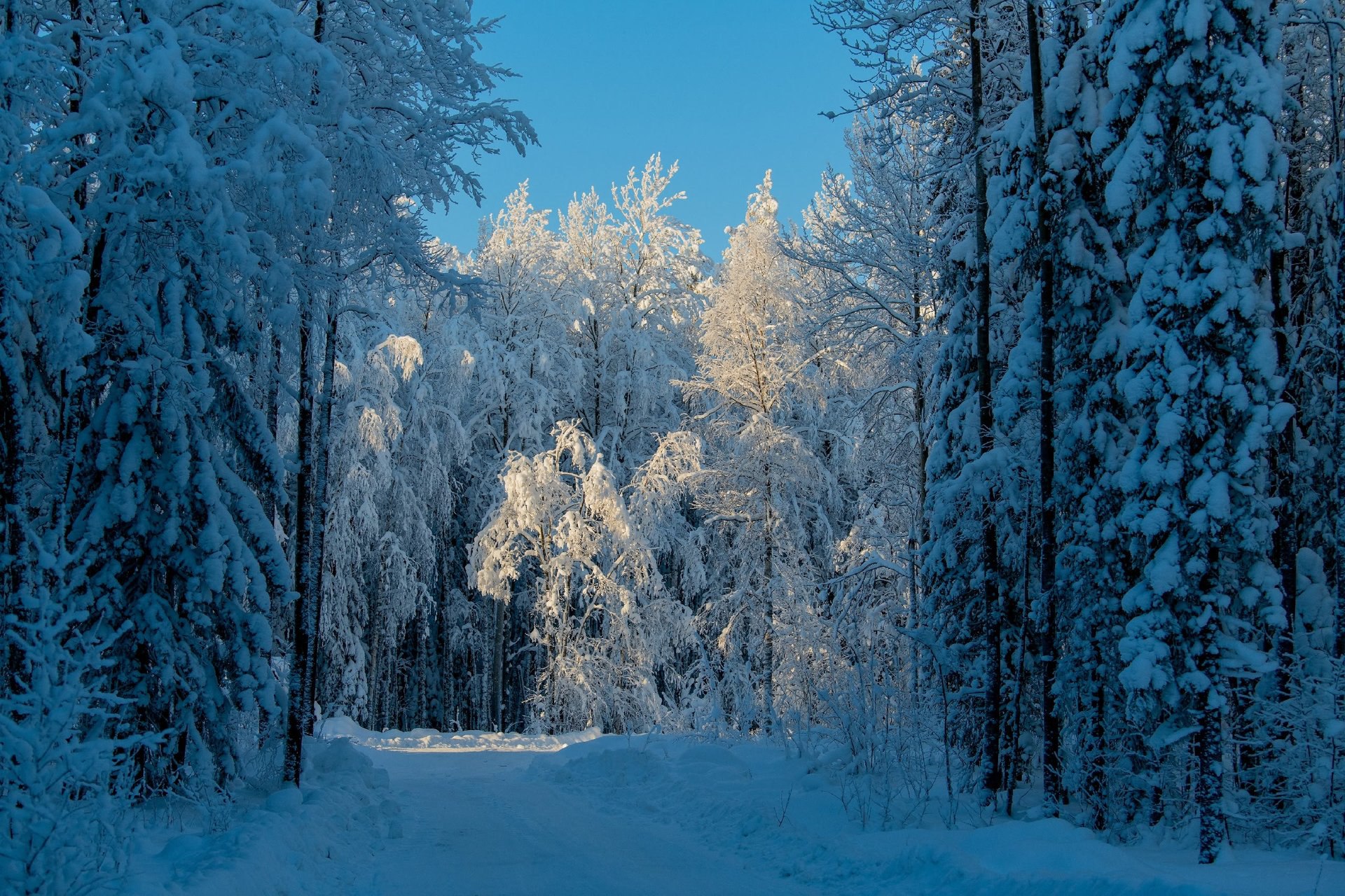 В каждом зимнем дне есть своя магия В каждом зимнем дне есть своя магия