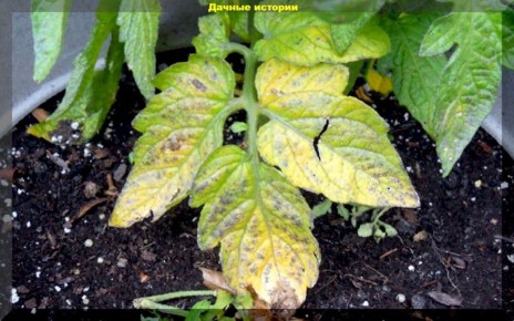 ��� ��������������� ��������� ������� � ��������� ������������� ��������