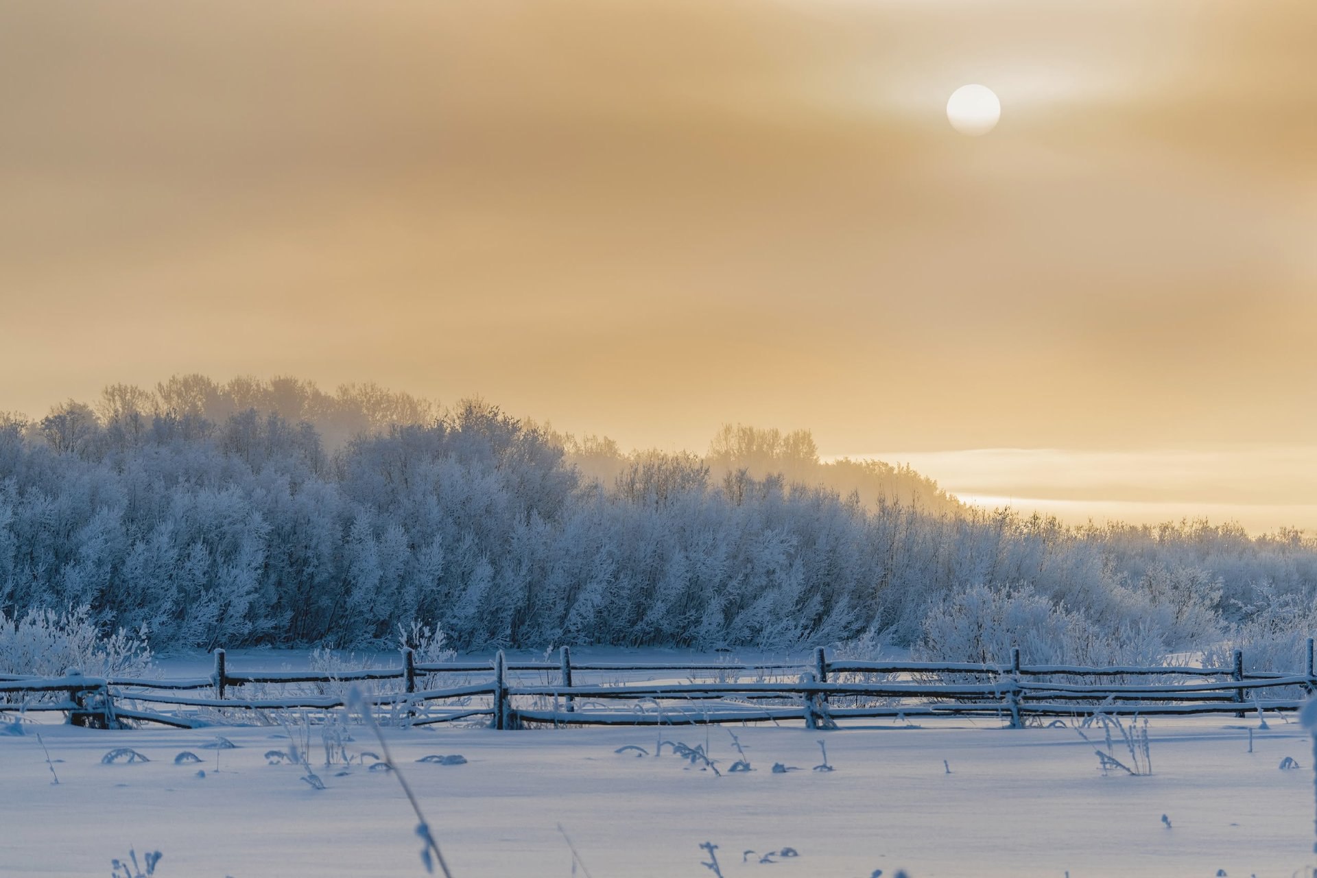 В каждом зимнем дне есть своя магия В каждом зимнем дне есть своя магия