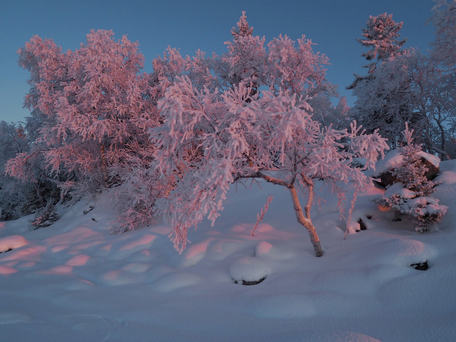 Соловецкие зимние закаты. Фотографии Евгения Яковлева Соловецкие зимние закаты. Фотографии Евгения Яковлева