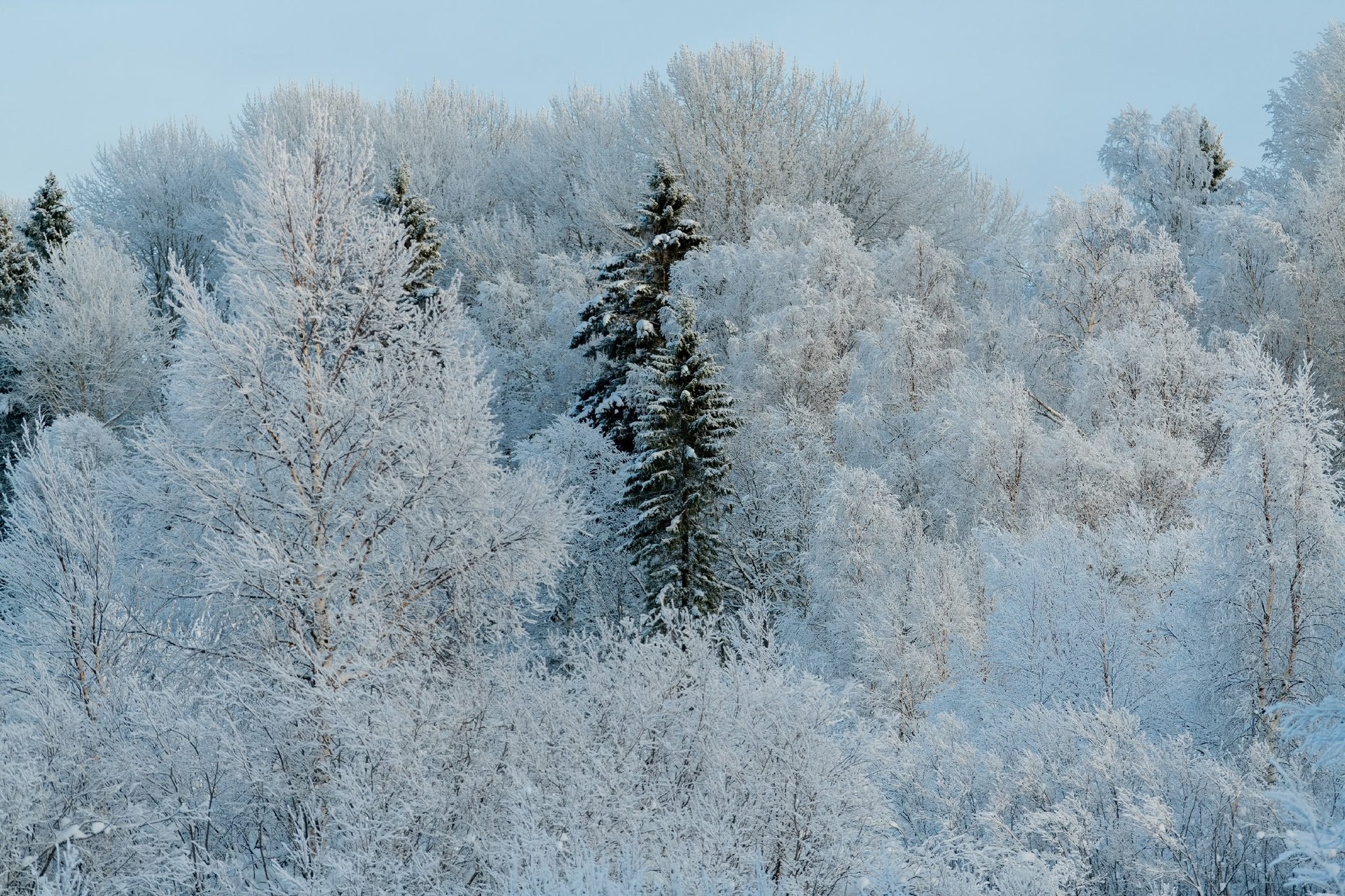 В каждом зимнем дне есть своя магия В каждом зимнем дне есть своя магия