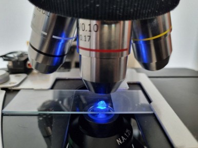 1 � ������������ ����������� ������ ��� �����������