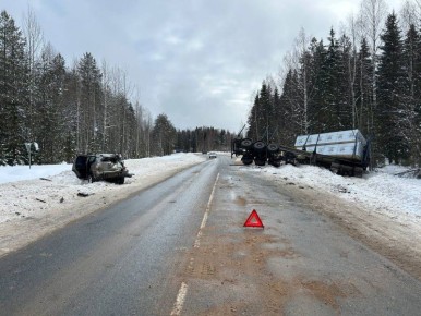 В ДТП с участием лесовоза в Вельском районе пострадали два человека