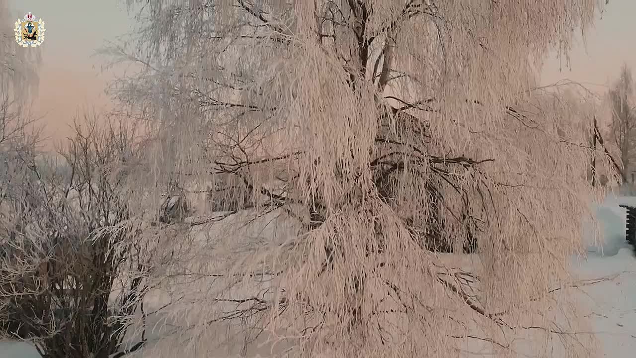 Кенозерье — это место, где возвращаешься в детство