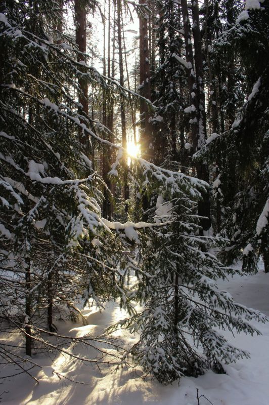 ������� ������ �����. ��� ������� ����� ���� ���������� ����� ��������