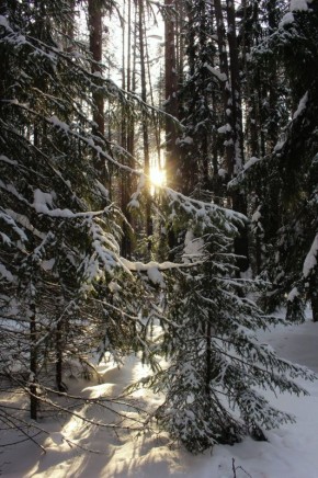 Красота всегда рядом. Так считает автор этих фотографий Елена Панютина