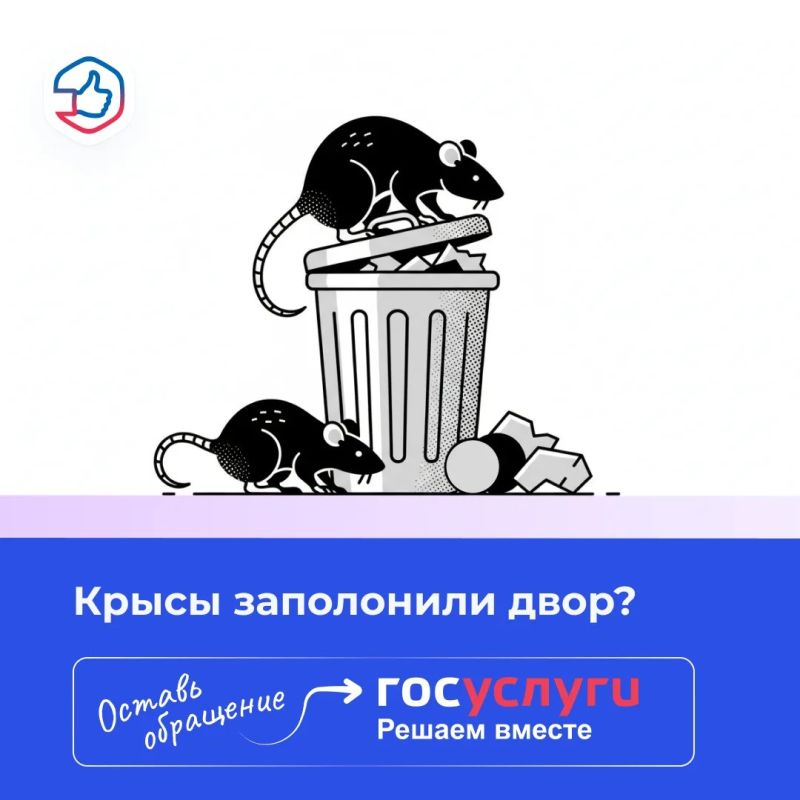 ������� ���� � �������, � �������� ��� � �������?